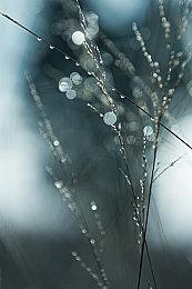 Xbox Game Pass 10月上旬新增游戏公布